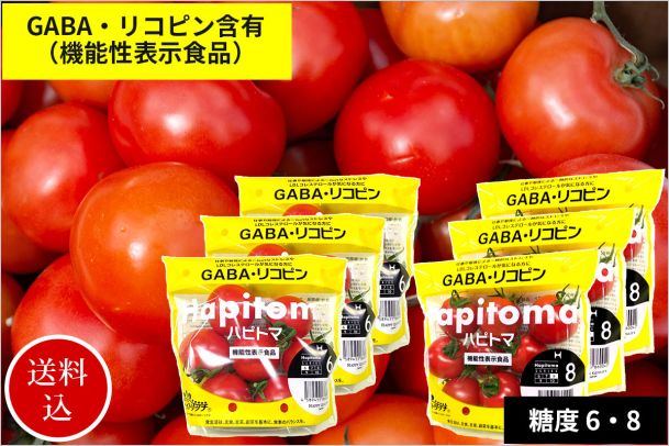 GABA・リコピン含有 ミニトマト（ハピトマ） 食べ比べセット 糖度6度＆8度（各3袋）